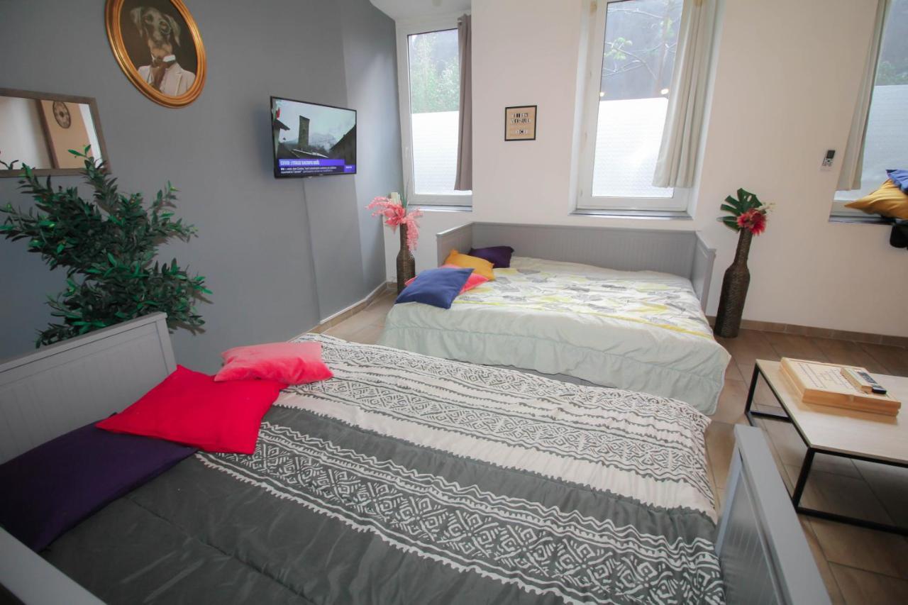Calme En Centre , Spacieux Et Rénové à 50m De La Place Carnot